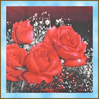 Povlak na polštářek 40x40cm - Romance