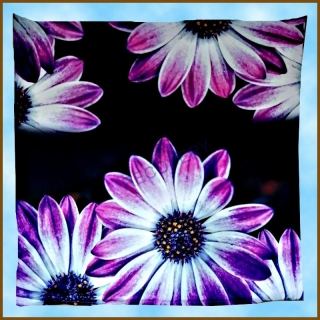 Povlak na polštářek 40x40cm -Violet
